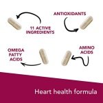 VetriScience Laboratories Cardio Strength, 90 Capsules - Supports Blood Flow, Immune System and Energy Levels for Dogs and Cats - Image 6