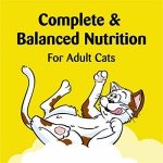 TEMPTATIONS Classic Crunchy and Soft Cat Treats Tasty Chicken Flavor, 30 oz. Tub - Image 6