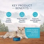 Blue Buffalo Wilderness High Protein, Natural Adult Indoor Hairball Control Dry Cat Food, Chicken 11-lb - Image 5